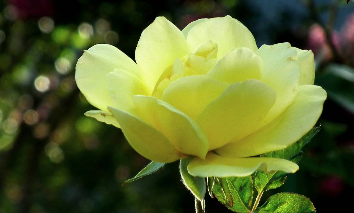 Mother of the Bride Makeup: The Ultimate Guide to Radiant Bridal Beauty