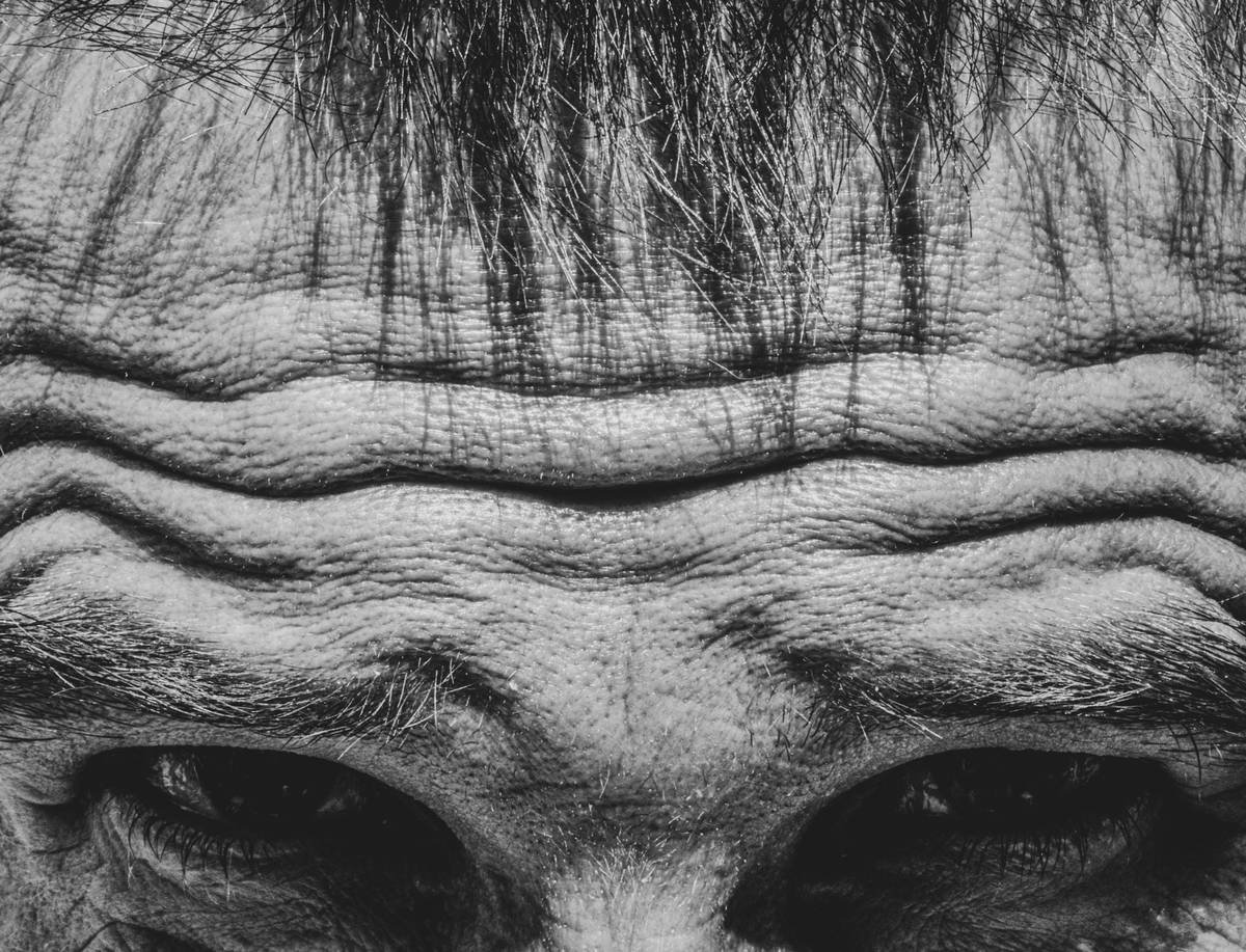 Infographic comparing hydrated vs. dehydrated skin under makeup: hydrated skin shows smooth light reflection; dehydrated skin shows makeup settling into wrinkles with magnified texture